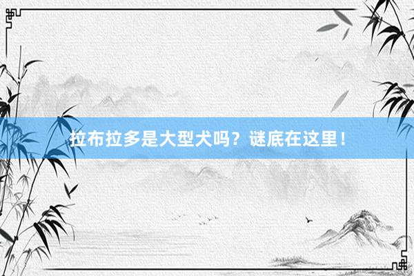 拉布拉多是大型犬吗？谜底在这里！