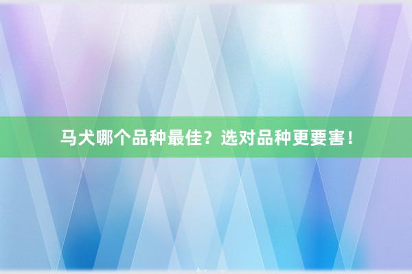 马犬哪个品种最佳？选对品种更要害！